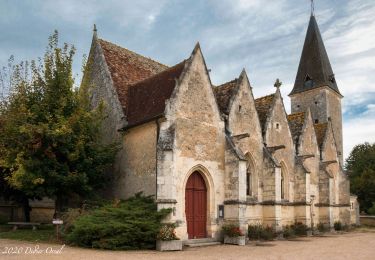 Trail Walking Perche en Nocé - Nobles Logis (Dancé) 16 km - Photo