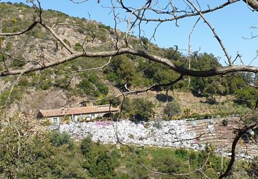 Percorso Marcia La Garde-Freinet - Les Roches Blanches - Photo