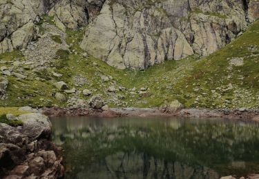 Trail Walking Chamonix-Mont-Blanc - Lac Blanc par les échelles  et lac de la Persévérance - Photo