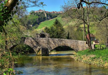 Randonnée A pied Nevy-sur-Seille - Tour Reculées Baume - Photo