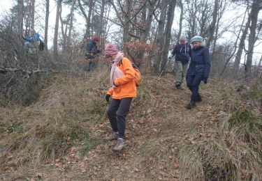 Trail Walking Fontainebleau - cabaret masson 10 février 2023  - Photo