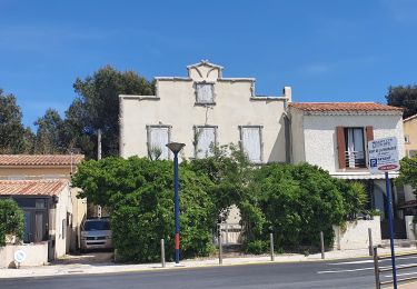 Percorso Marcia Saint-Cyr-sur-Mer - st cyr les lecques  le chemin des vignes - Photo