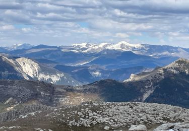 Trail Walking Peyroules - Teillon face nord - Photo