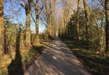 Tocht Stappen Chaumont-Gistoux - BE-Chaumont-Gistoux - Vieusart - Photo