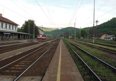 Excursión A pie okres Zvolen - Náučný chodník Boky - Photo