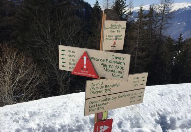 Tocht Stappen La Plagne-Tarentaise - Les Frasses  - Photo