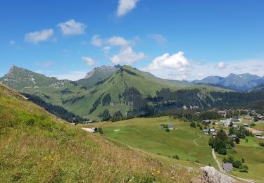 Tour Wandern Taninges - le haut Fleury - Photo