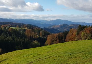 Tocht Stappen St. Märgen - Cascade Zweribach depuis Sankt Märgen - Photo