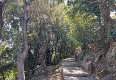 Percorso Sentiero Ville-di-Pietrabugno - Cima di Gratera  - Photo