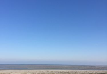 Randonnée Marche Cayeux-sur-Mer - Cayeux-sur-Mer  baie  delà somme  - Photo
