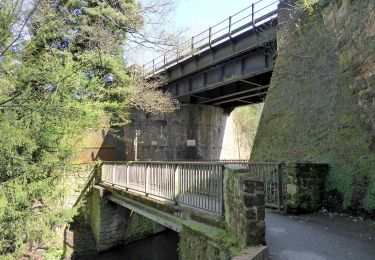 Excursión A pie Horsham - Riverside Walk - Photo