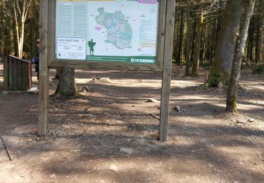 Tour Wandern Paliseul - Maissin_ GR _ LUX _ RB _ 10 _ Au fil de l'Our et de la Lesse - Photo