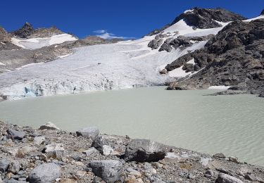 Trail Walking Bonneval-sur-Arc - 73 - BONNEVAL-SUR-ARC 