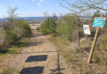 Tour Wandern Terres de Bord - rando du 19 mars 2021 - Photo