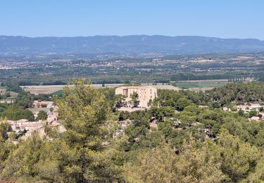 Tocht Stappen Meyrargues - alentours de Meyrargues tracé bleu - Photo