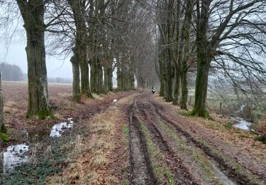 Excursión Senderismo Libramont-Chevigny - Marche ADEPS Freux - Photo