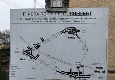 Randonnée A pied Mamer - Jongebësch - Photo