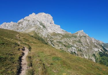 Excursión A pie Pellafol - La grande tête de l'Obiou - Photo