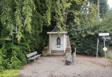 Percorso Marcia Hoeselt -  Sint-Huibrechts-Hern - Photo