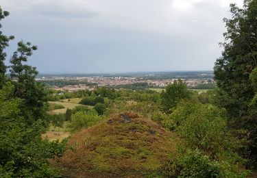 Trail Mountain bike Croismare - sortie VTT du 30072019 Le haut de la Coyes - Photo