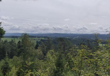 Tocht Elektrische fiets Granges-Aumontzey - granges-Spie mont-pierre sacrifice - Photo