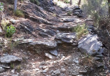 Tour Wandern Gravières - graviers les eynes - Photo
