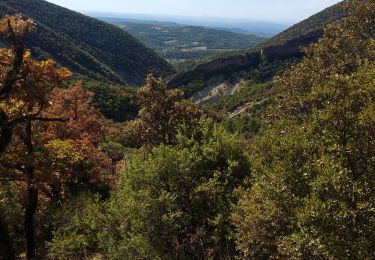 Randonnée Marche Venterol - Venterol La Combe de Sauve boucle  - Photo