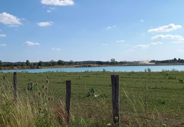 Percorso Bici ibrida Brabant-le-Roi - entre meuse et marne(vernancourt) - Photo