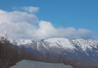 Tour Zu Fuß Unbekannt - Pietreni - Valea Pârâului Sec - Poiana Scărișoara - Muntele Cacova - La Troiță - Poiana de Piatră - Poiana Fața Piscului - Curmătura Comarnice - Cabana Cheia - Photo