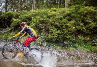 Tocht Mountainbike Jalhay - La grande descente  - Photo