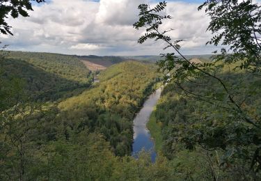 Excursión Senderismo Herbeumont - Herbeumont et son château  - Photo