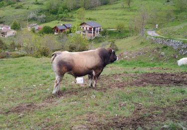 Trail Walking Roquefeuil - comud - Photo