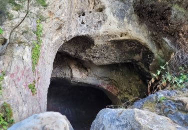 Randonnée Marche Le Revest-les-Eaux - Le Revest le Ragasse 2 - Photo