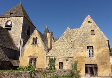 Tour Zu Fuß Saint-Geniès - Boucle des Moulins - Photo