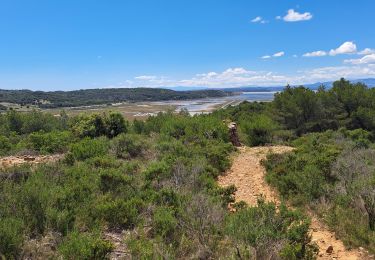 Tocht Stappen Gruissan - T-GRUISSAN - Photo