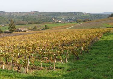 Tocht Stappen Chessy - Chessy - Carrières de Gray - Photo