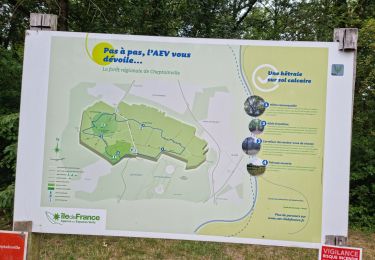 Trail Walking Cheptainville - Forêt Régionale de Cheptainville  - Photo