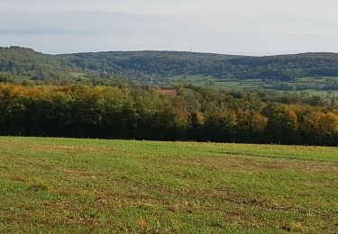 Excursión Senderismo Montigny-lès-Vesoul - montigny jm - Photo