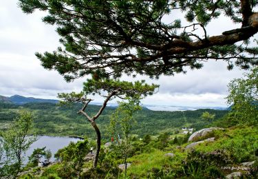 Excursión A pie  - Preikestolen - Photo