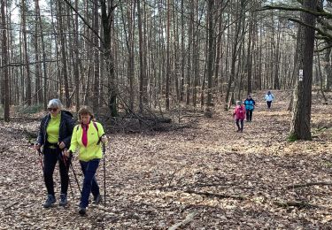 Tour Wandern Offweiler - Offwiller lichtenberg - Photo