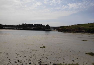 Trail Walking Île-de-Bréhat - ile de Bréhat - Photo