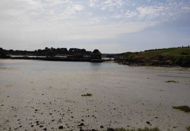 Tocht Stappen Île-de-Bréhat - ile de Bréhat - Photo