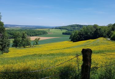 Randonnée Marche Jussey - marche don du sang Jussey 15 5 2022 - Photo