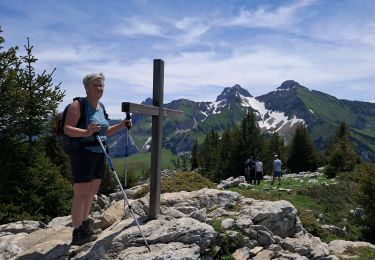 Trail Walking Brizon - BARGY: SOLAISON - CENISE par le 