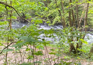 Tour Wandern Rochefort - Belvaux, la Lesse 9 - Photo