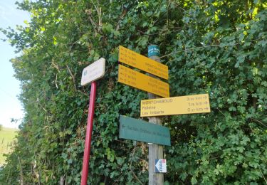 Trail Nordic walking Jarrie - Mon chabou -haut jarret - Photo