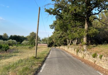 Randonnée Marche Lambesc - Nord de LAMBESC - Photo