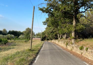 Tour Wandern Lambesc - Nord de LAMBESC - Photo