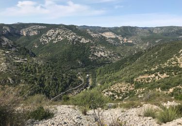 Percorso Marcia Puéchabon - PUECHABON - Le belvédère du berger 16.8km 384m - Photo