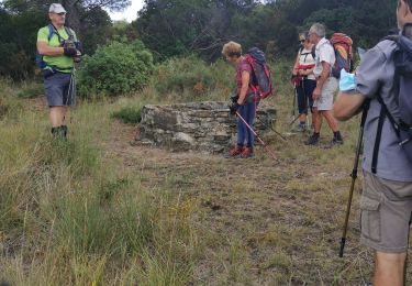 Trail Walking Le Castellet - Barre de castillon par St Anne de castelet - Photo